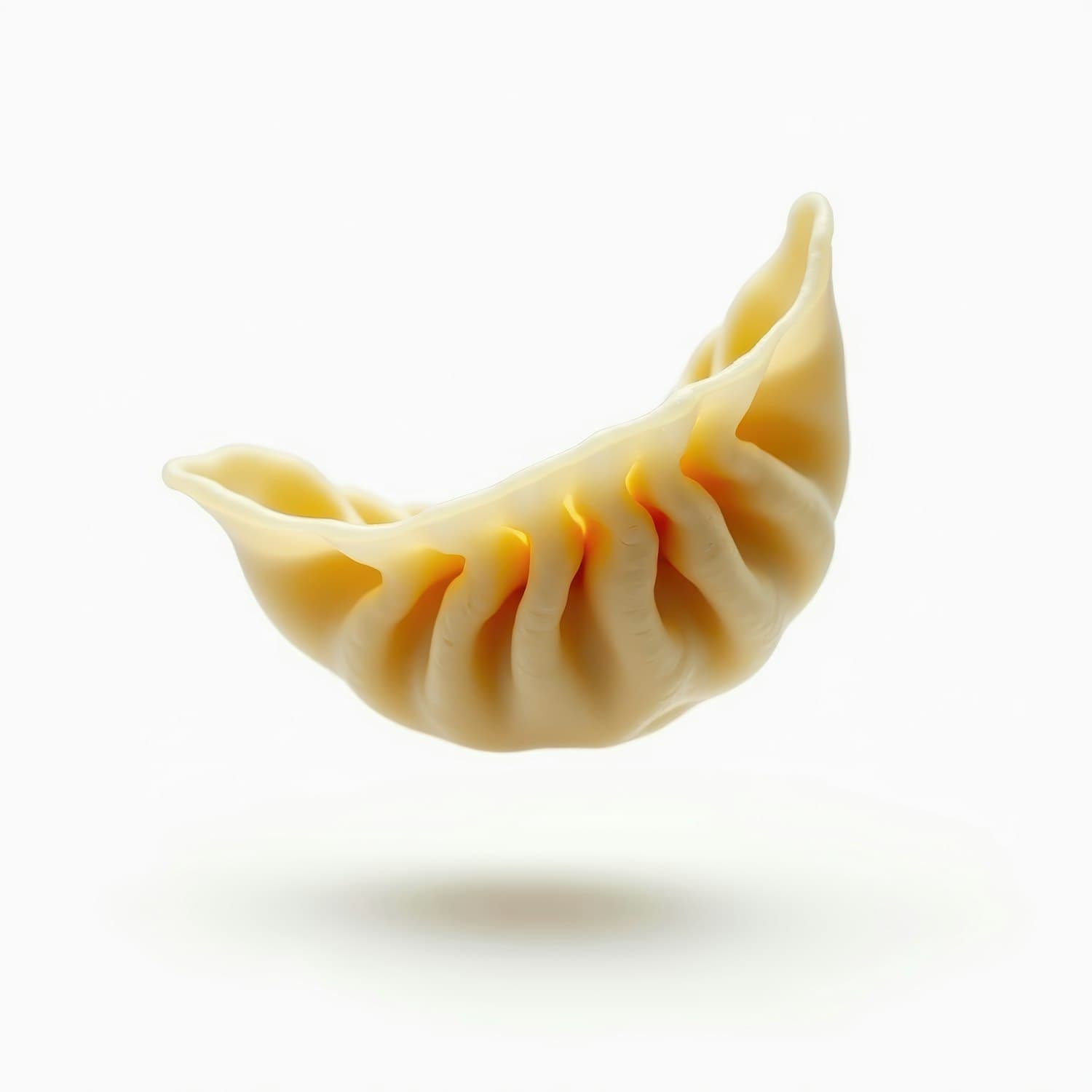A single pleated dumpling on a white background